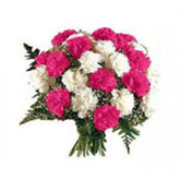 CARNATION-BUNCH